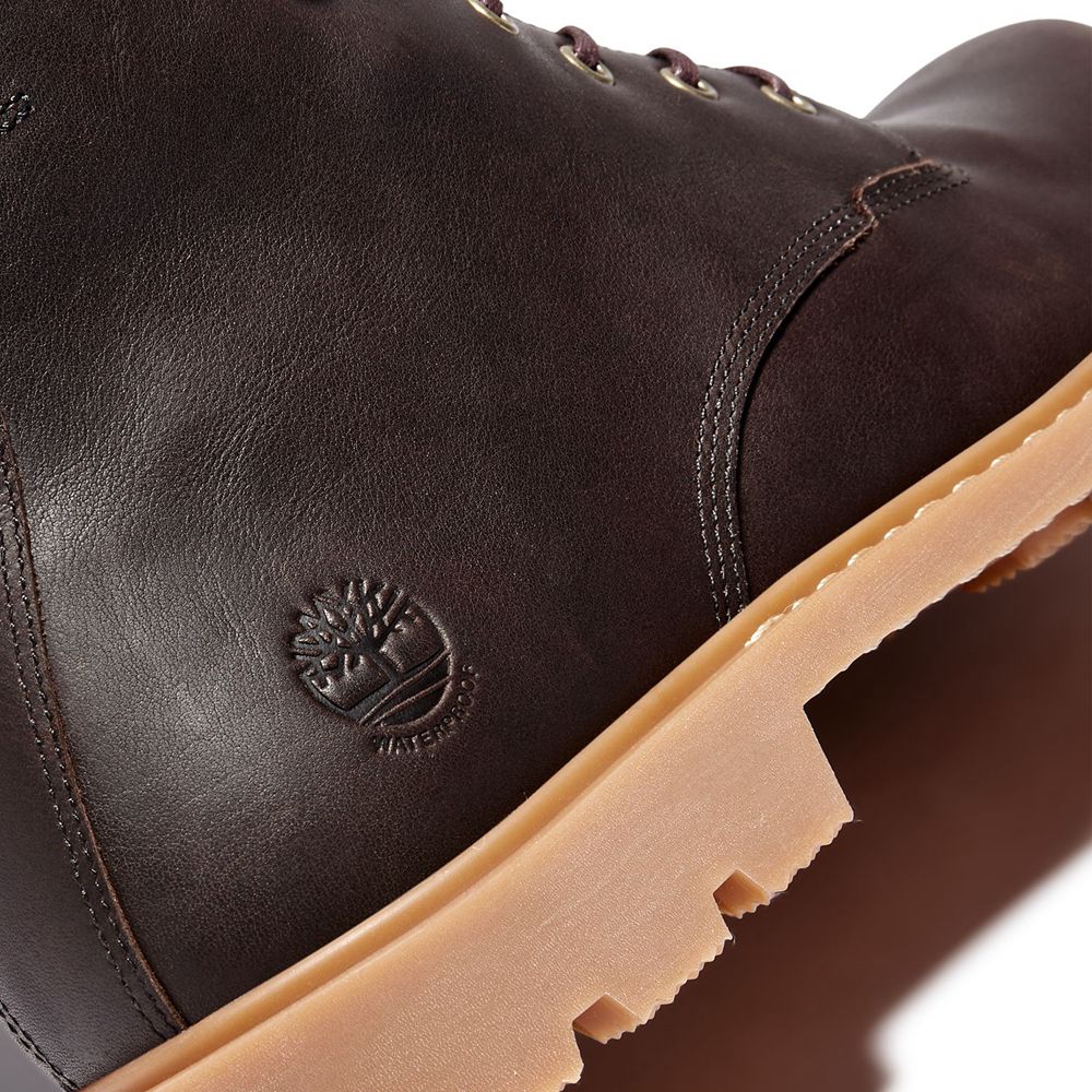 Bototos Timberland Hombre 6-Inch Belanger Ek+ Waterproof Marrones Oscuro - Chile PST-365841